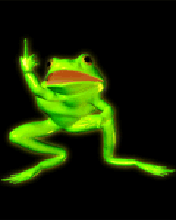 pic for Dance Frog